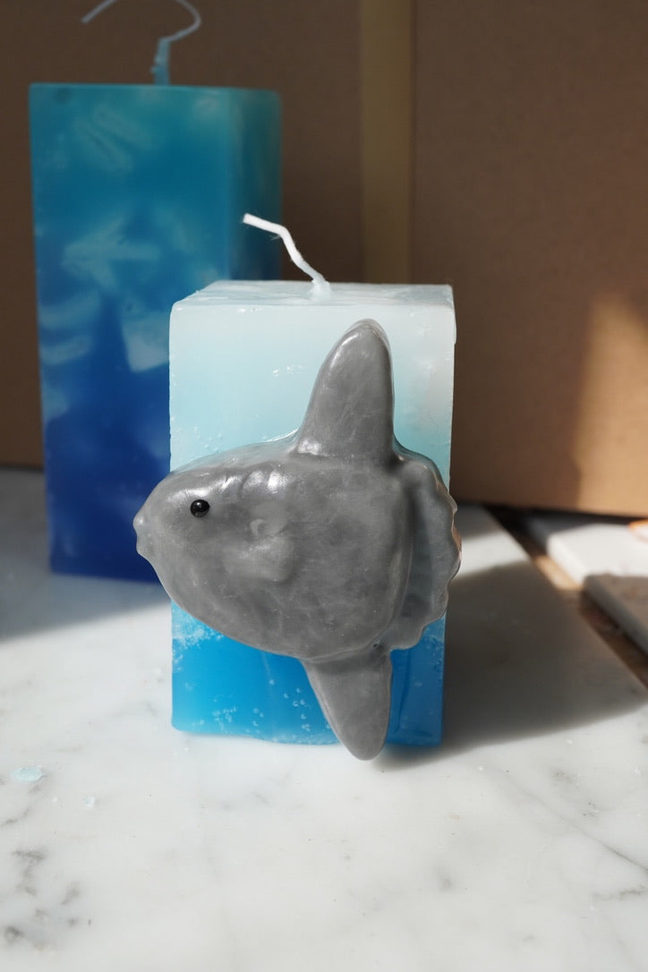 Living Ocean｜海洋生物藝術蠟燭