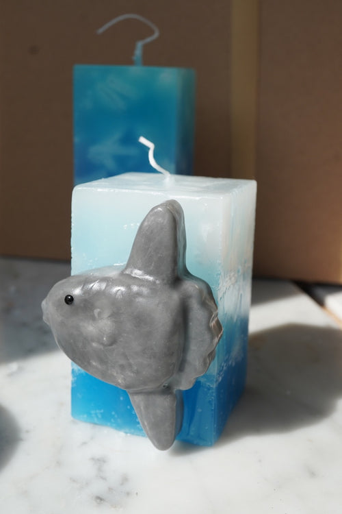 Living Ocean｜海洋生物藝術蠟燭-Mola Mola